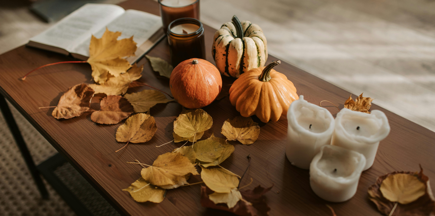 QUADIS - Ver coches en stock